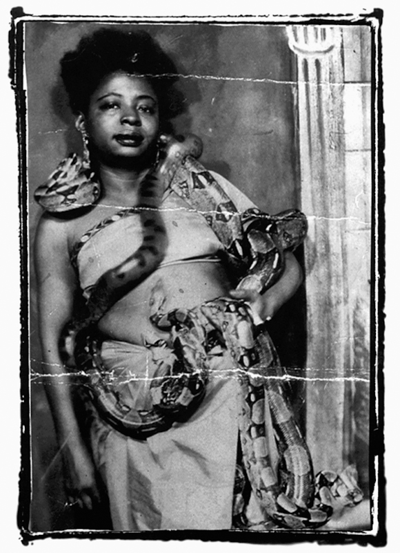 The Kerosene That Saved Willa Mae (and Her Snakes)