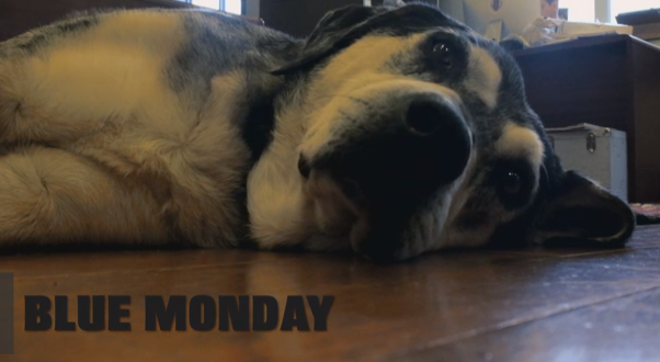 Monday Morning Blues with Ejo