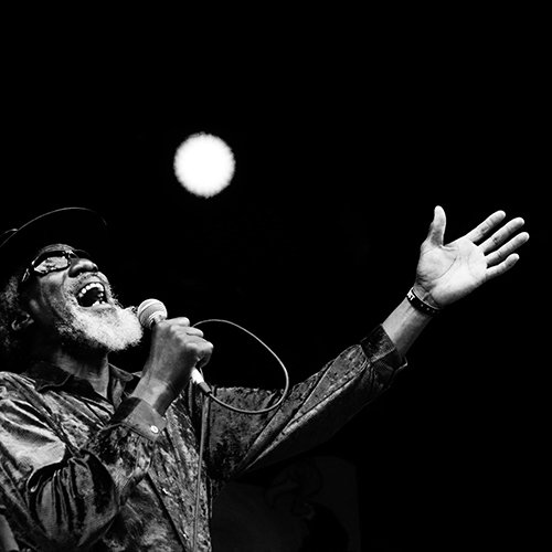Robert Finley’s Lightbulb is Shining Bright in NYC!