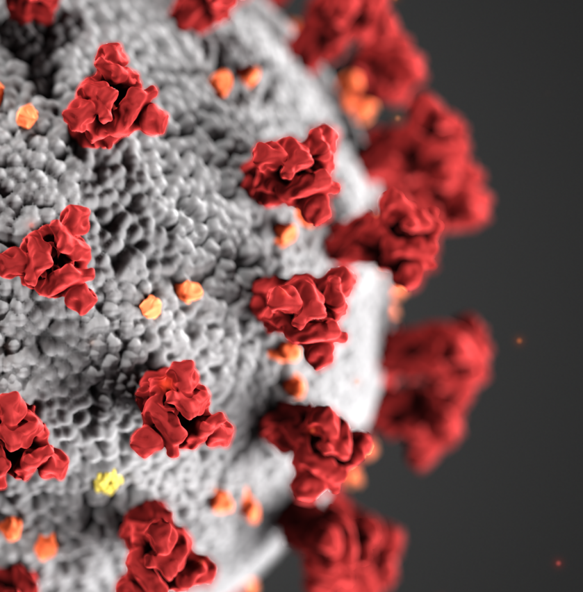 Coronavirus Blues: Protecting Our Partner Artists in a Pandemic